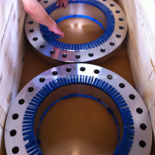 Stainless Steel Flange WN